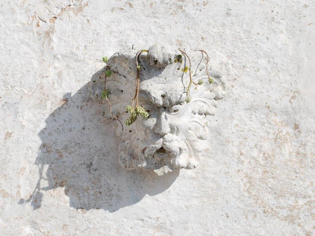 Casa Trieste Apartment Alberobello Exterior photo